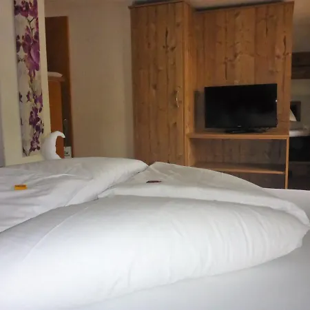 Sportpension Penhab سالباخ هينترغليم